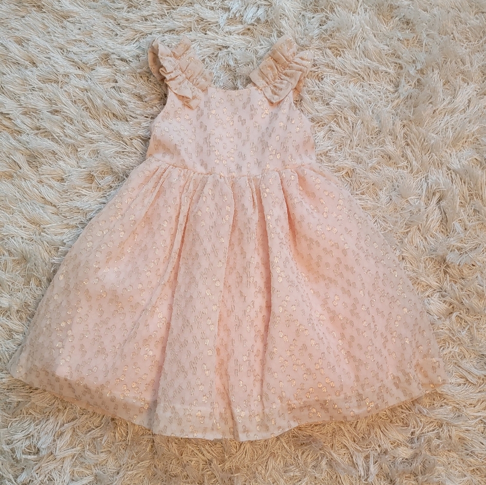 Janie & Jack metallic dot pink chiffon dress size 18-24 months